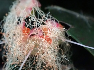 P3260272a
